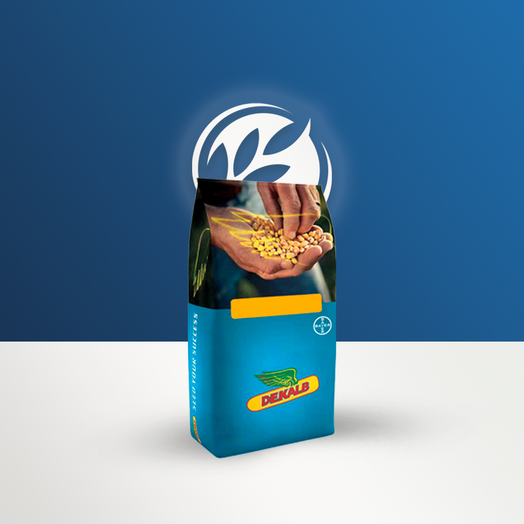 Dekalb DKC5812 Mısır Tohumu