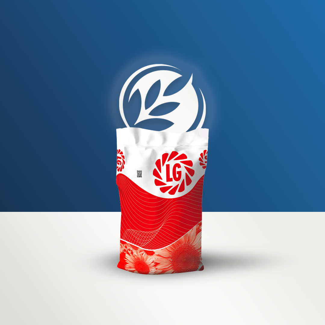 LG 50.480 Yağlık Ayçiçek Tohumu