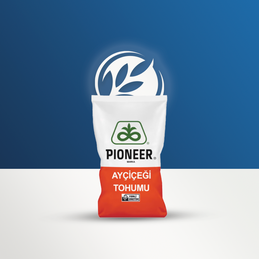 Pioneer P63MM54 Yağlık Ayçiçek Tohumu