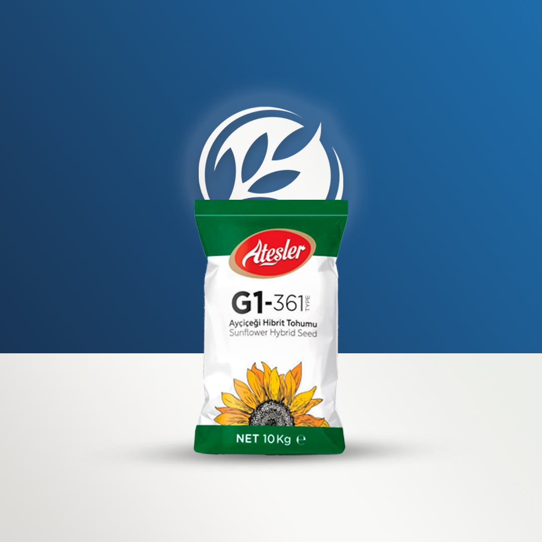 Ateşler 361 Type Çerezlik Ayçiçek Tohumu