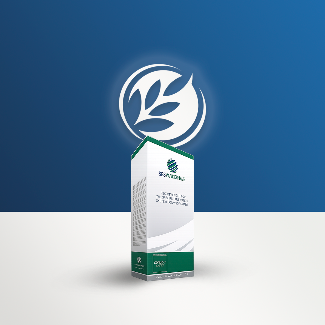 SES VanderHave Conviso Smart Pancar Tohumları